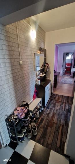 Apartament cu 3 camere în Craiovița Nouă