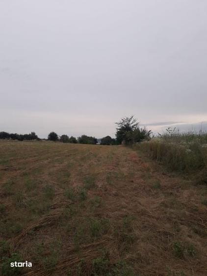 Vand teren Ciurbesti intre padure si case - 1