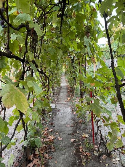 Casă individuală cu 5 camere cu Canalizare în Fratelia
