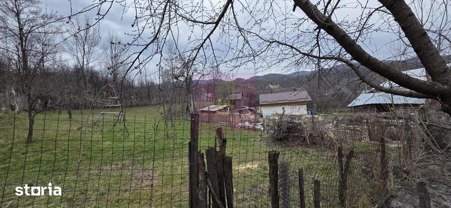 Teren de 800 mp, în Șotrile