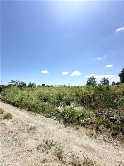 Teren Construcții intravilan de 1700 mp, în Amzacea