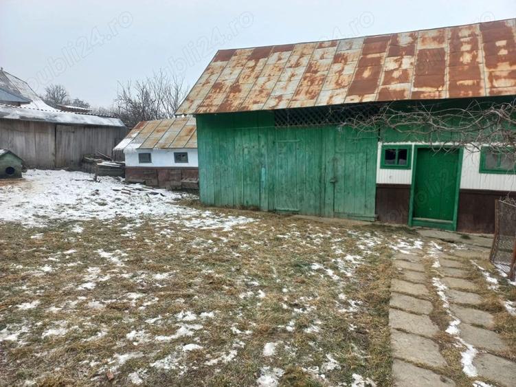 Casă cu Teren 3000 Mp în Zvoriștea