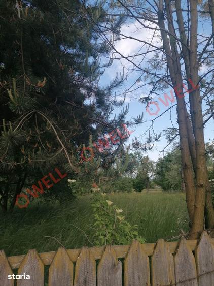 Teren de 8079 mp, în Estelnic