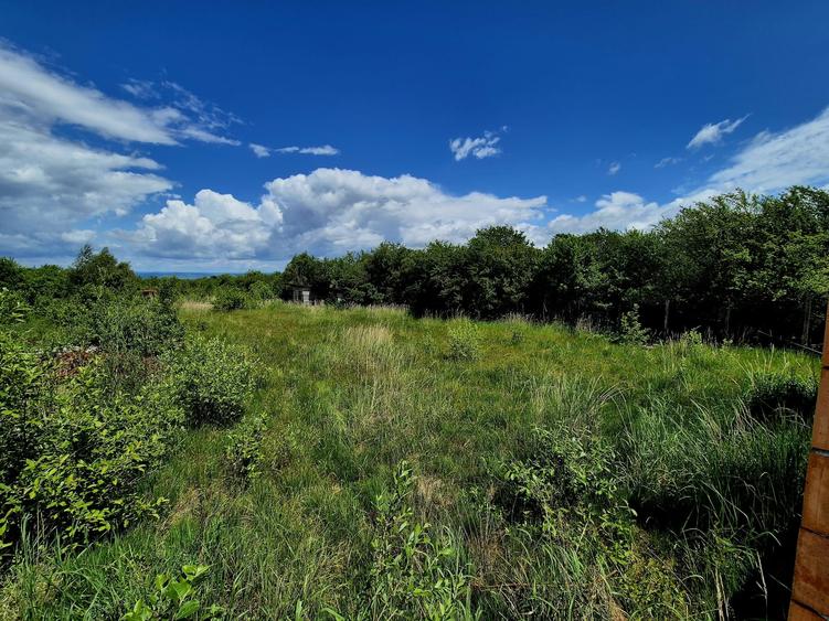 Casă individuală cu 3 camere cu Teren 4542 Mp în Sâmbăta de Sus