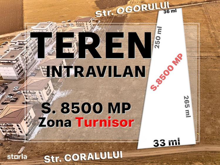 Teren de 8500 mp, în Turnișor