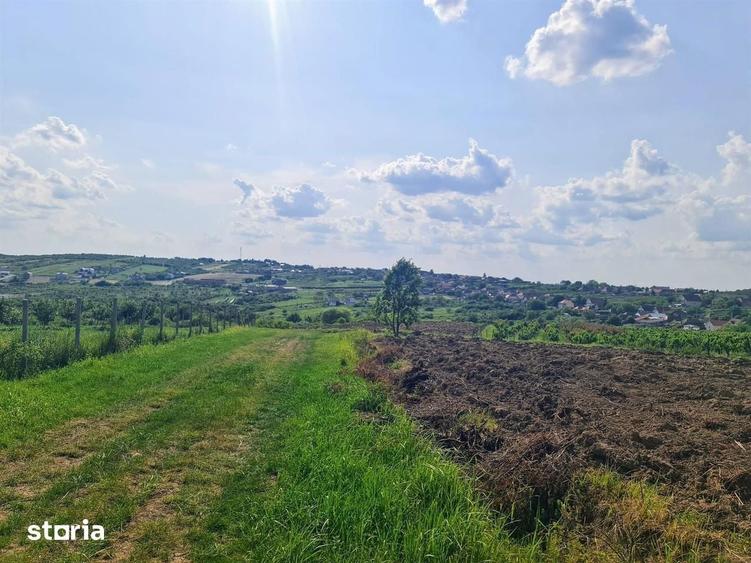 Teren intravilan Zona Gheorghe Doja 1100mp - 1