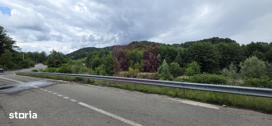 Casă cu 5 camere cu Teren 2200 Mp în Provița de Jos