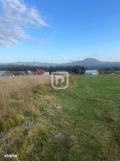Teren de 5740 mp, în Poiana Stampei
