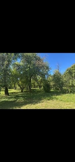 Casă cu 4 camere în Talea