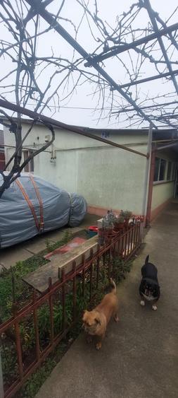 Casă individuală cu 7 camere cu Teren 660 Mp în Palazu Mare