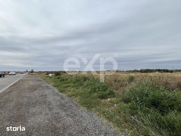 Teren de 15000 mp, în Sud