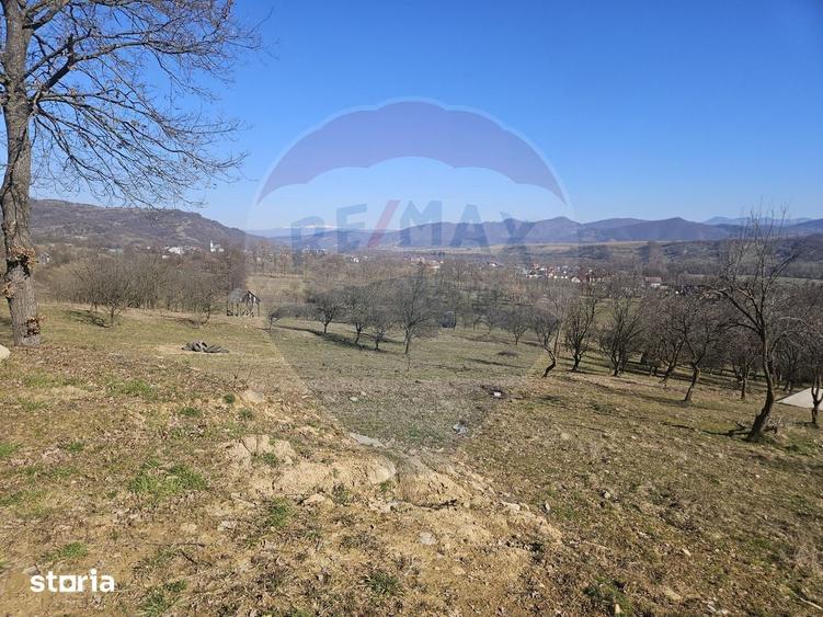 Teren de 4627 mp, în Bârsana