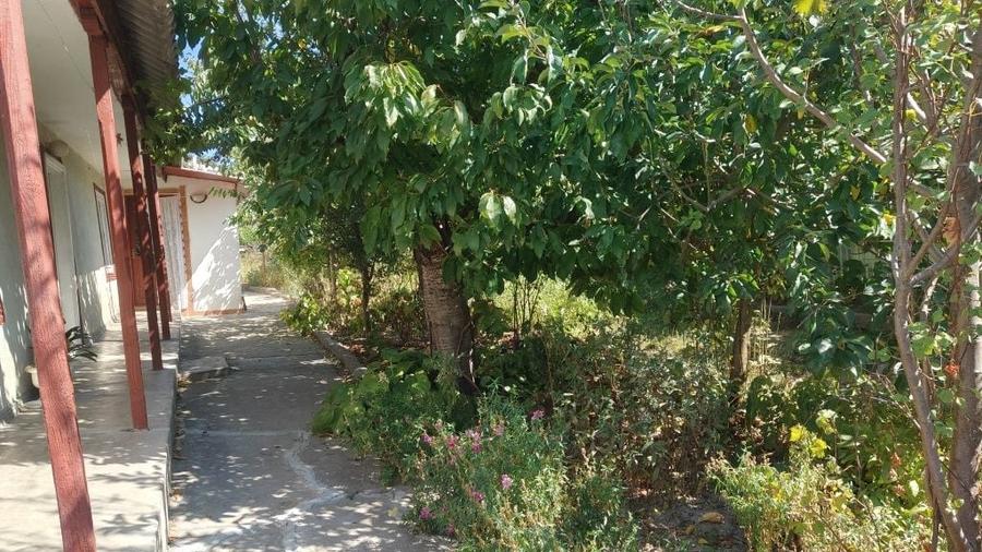 Casă cu 3 camere în Mahmudia