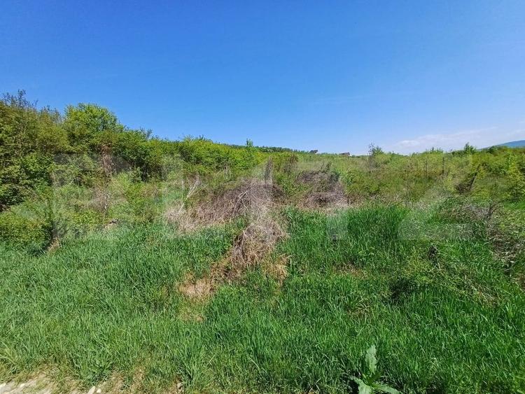 Teren Construcții intravilan de 6200 mp, în Sud