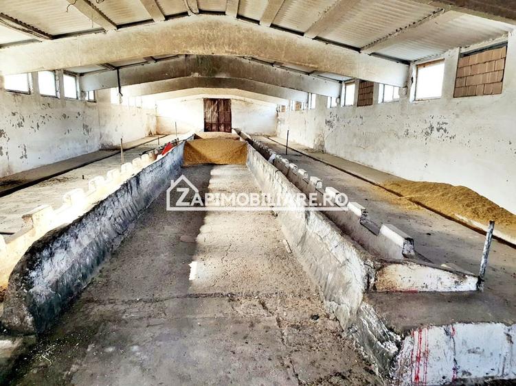 Spațiu industrial, de 1,000 mp, în Nazna