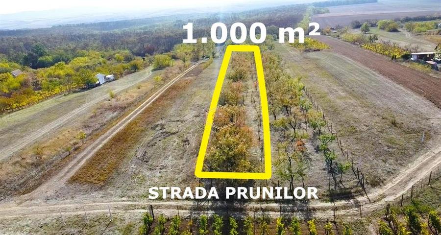 Teren Construcții intravilan de 1000 mp, în Sud