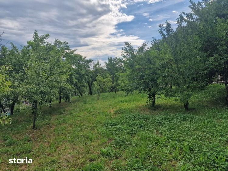Teren de 1400 mp, în Albota