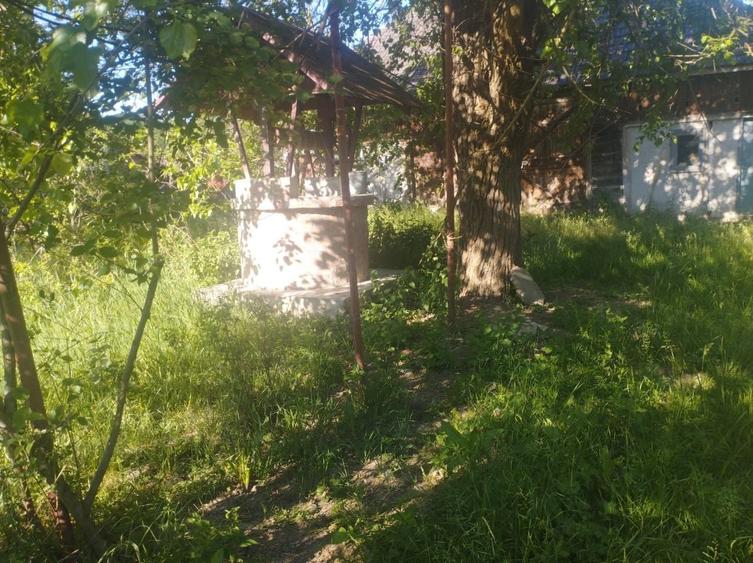 Casă cu 2 camere în Buciumi