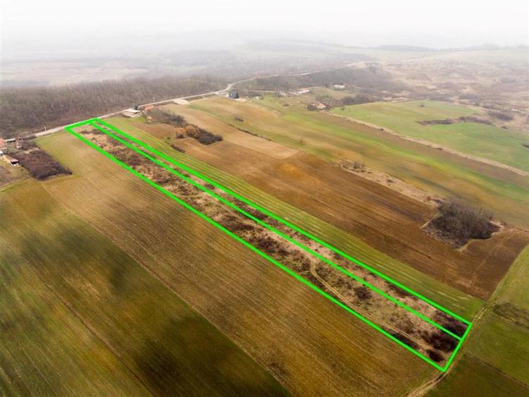 Teren Construcții intravilan de 13041 mp, în Burzuc