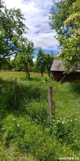 Teren de vanzare Horezu - 9