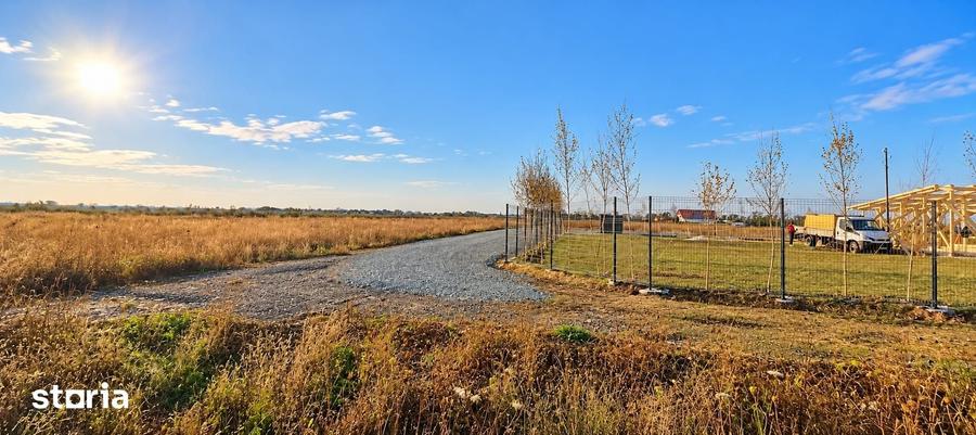 Teren de 317 mp, în Berceni