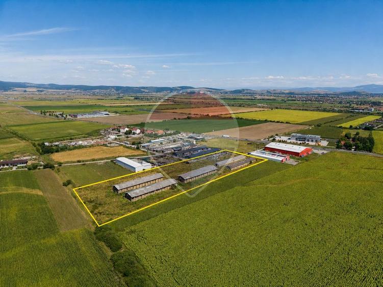 Teren Construcții intravilan de 17500 mp, în Hălchiu