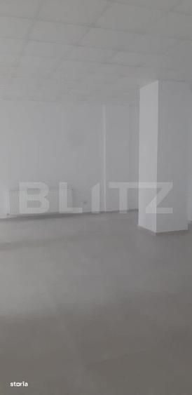 Spațiu comercial, de 148 mp, în Paltin