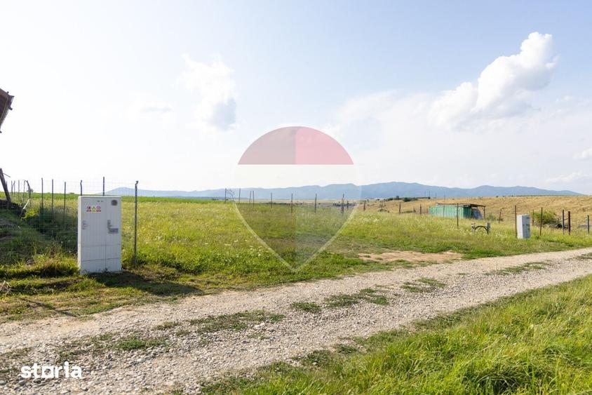 Teren de 1100 mp, în Județean