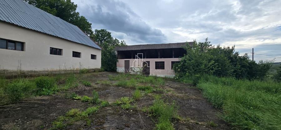 Teren agricol extravilan de 17234 mp, în Est