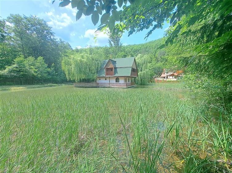 Casă individuală cu 6 camere cu Teren 2455 Mp în Pădurea Neagră