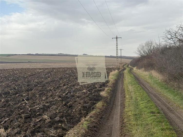 Teren agricol extravilan de 20300 mp, în Șura Mică