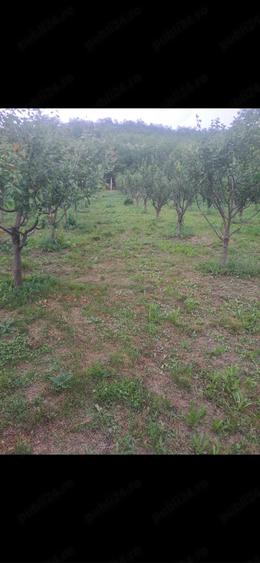 Casă cu 2 camere cu Teren 2946 Mp în Răzoare