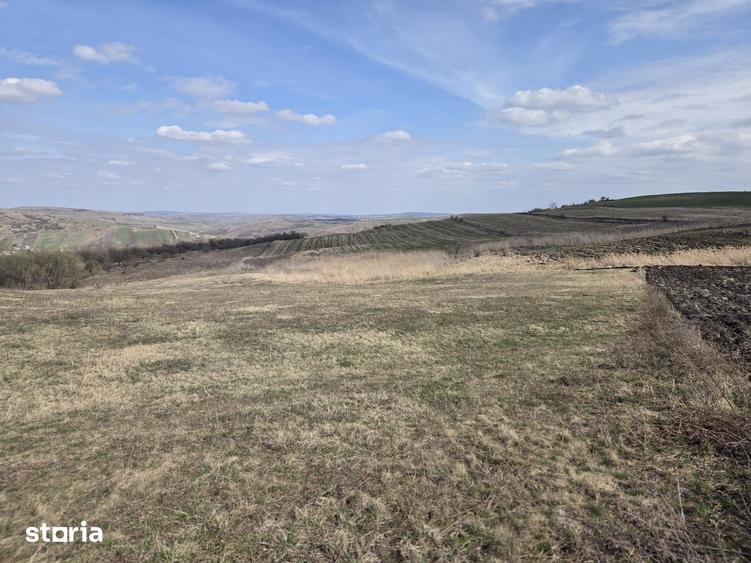 Teren de 11500 mp, în Mihai Viteazu