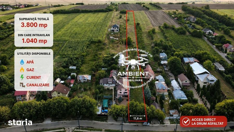Teren 3.800 mp zona CASTANILOR, ideal pentru locuin?a, investi?ie sau - 3