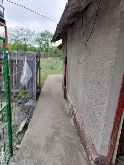 Casă cu 5 camere cu Teren 4000 Mp în Smârdan