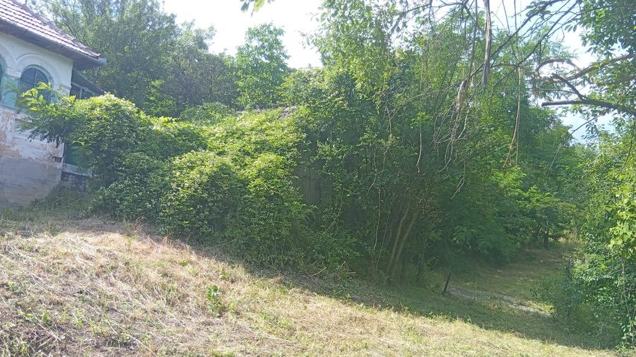 Casă individuală cu 5 camere cu Teren 9515 Mp în Șerbănești (Sălătrucel)