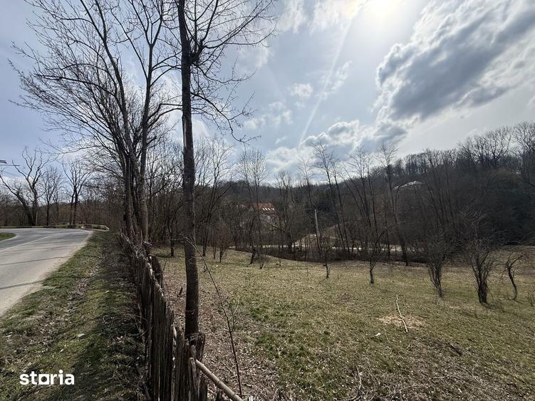 Teren de 2100 mp, în Provița de Jos
