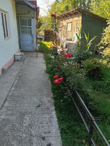 Casă cu Teren 759 Mp în Central