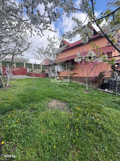 Casă cu 3 camere în Livada de Bihor