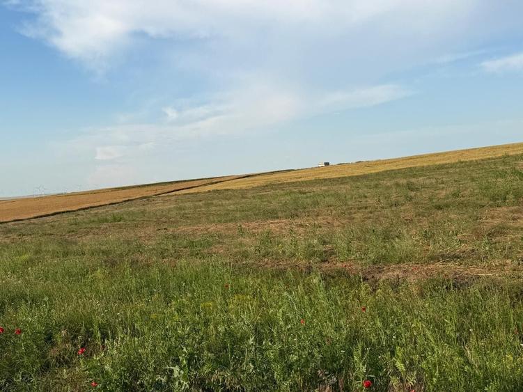 Inchiriez sau vand teren pentru parc fotovoltaic - 4
