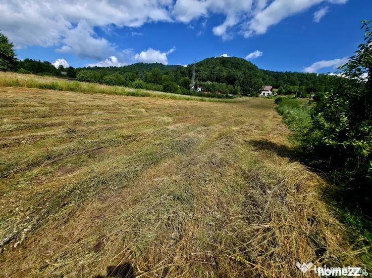 Teren în Viișoara