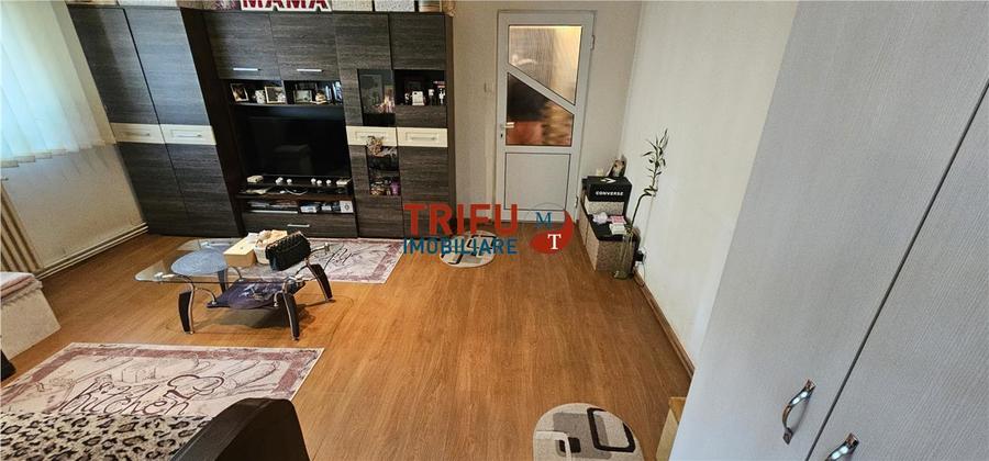 Apartament cu 2 camere nedecomandat, mobilat în Cetate