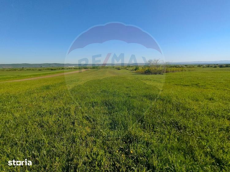 Teren de 1668 mp, în Gura Râului