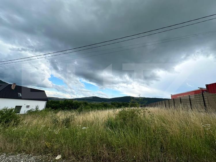 Teren Construcții intravilan de 2500 mp, în Viișoara