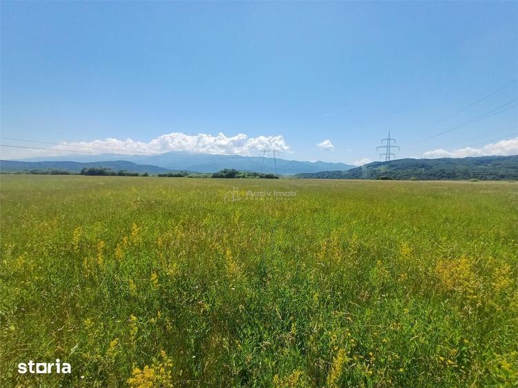 Teren de 2300 mp, în Central