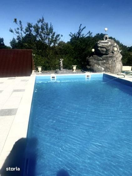 Casă cu 9 camere cu Piscina în Făget