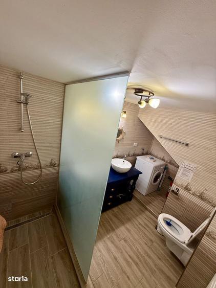 Studio generos si aerisit - de inchiriat in Centru Civic, Brasov - 7