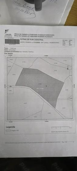 Teren de 7454 mp, în Runcu Mare