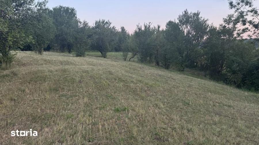 Teren de 5900 mp, în Baia de Fier