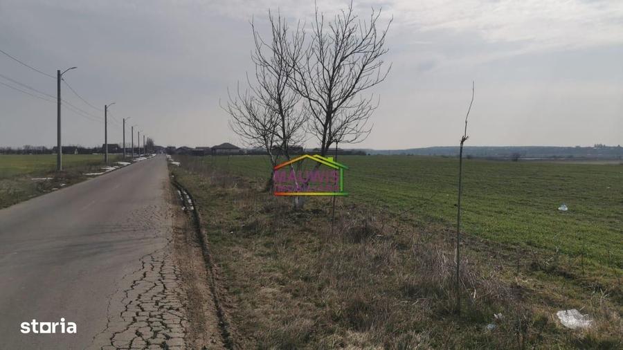 Spațiu comercial, în Tânganu